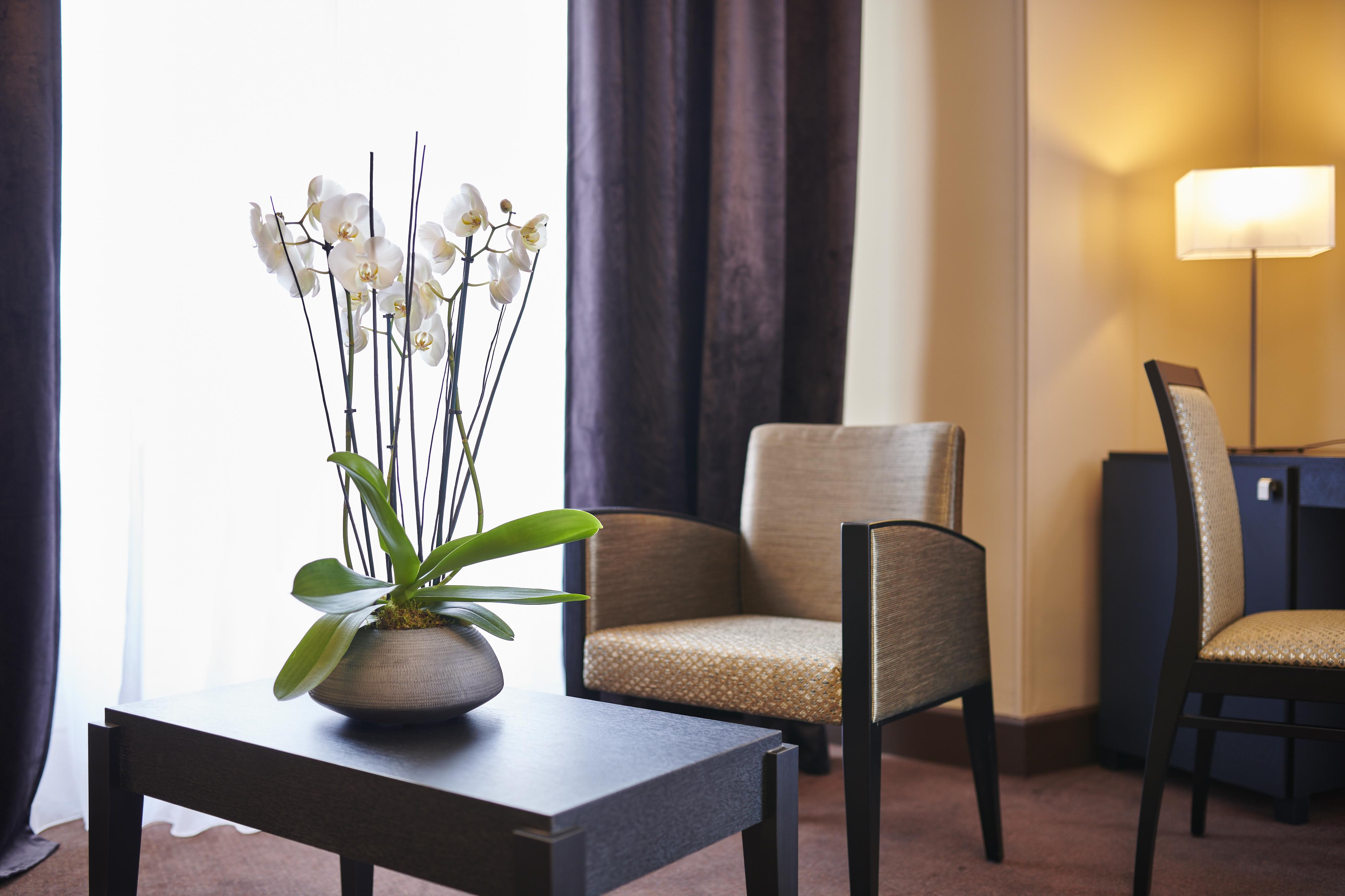 Hotel & Spa Vacances Bleues Le Splendid Dax Exterior photo
